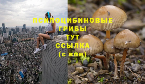 герыч Галич