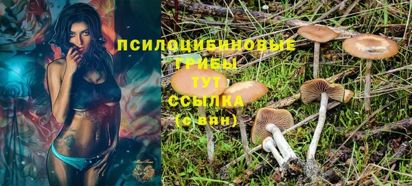 2c-b Переславль-Залесский